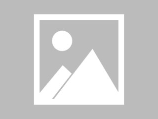 西雅图超音速队球员发起公益活动，回馈球迷支持的简单介绍
